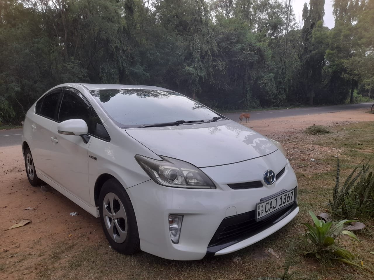 colombo airport taxi toyota prius
